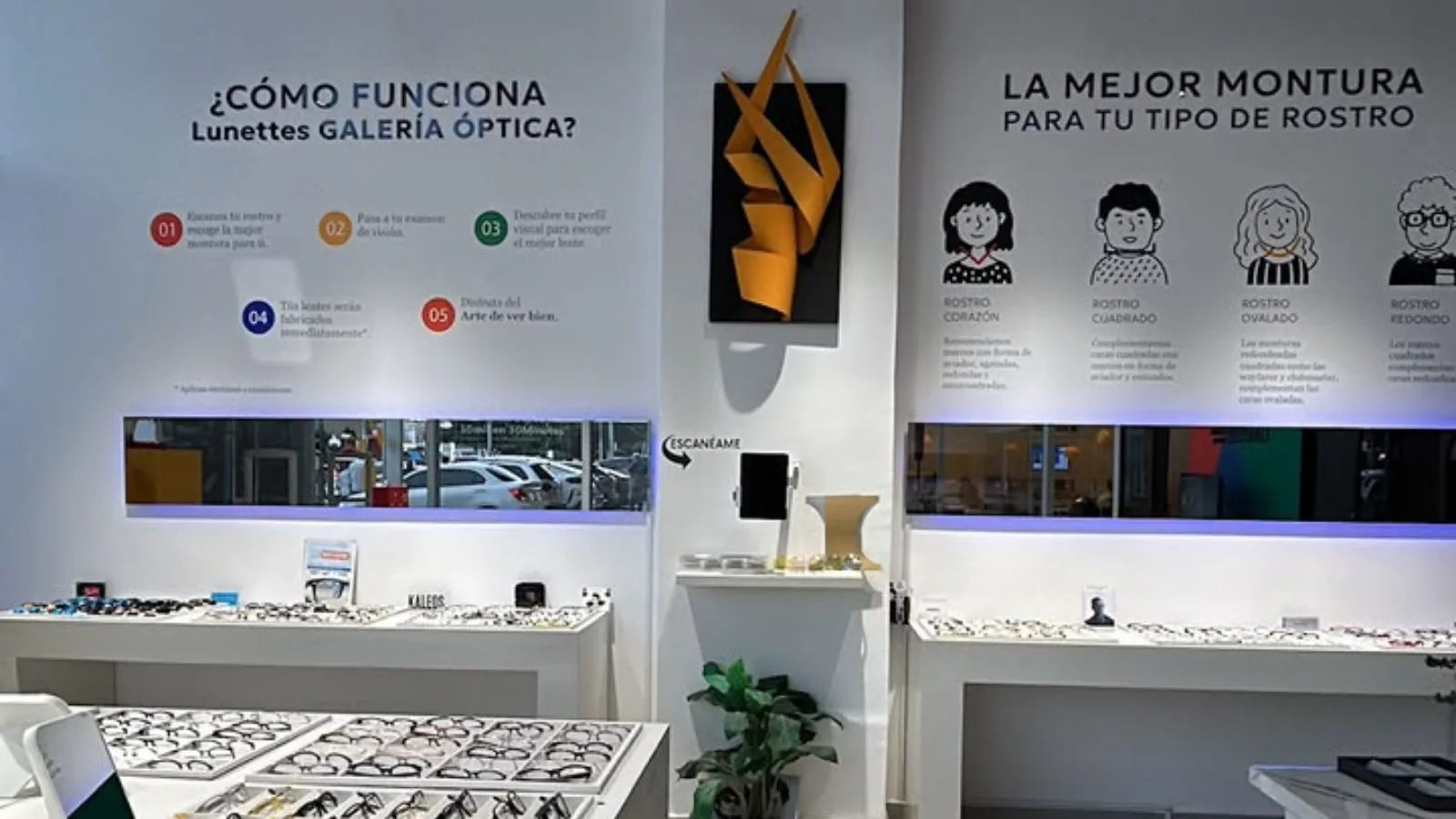 Guía de tipos de rostro y exhibición de monturas Lunettes